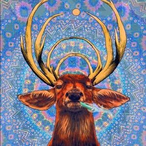 Meet your Posher, Antonio